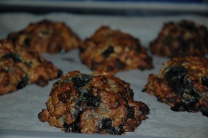 Very Blueberry Scones DSC_0052