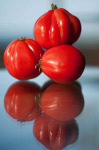 1602 Tomatoes-